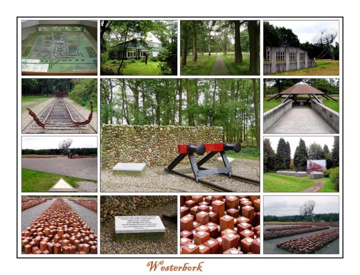 Mini Camping Drentse Monden Nieuw-Weerdinge Екстериор снимка