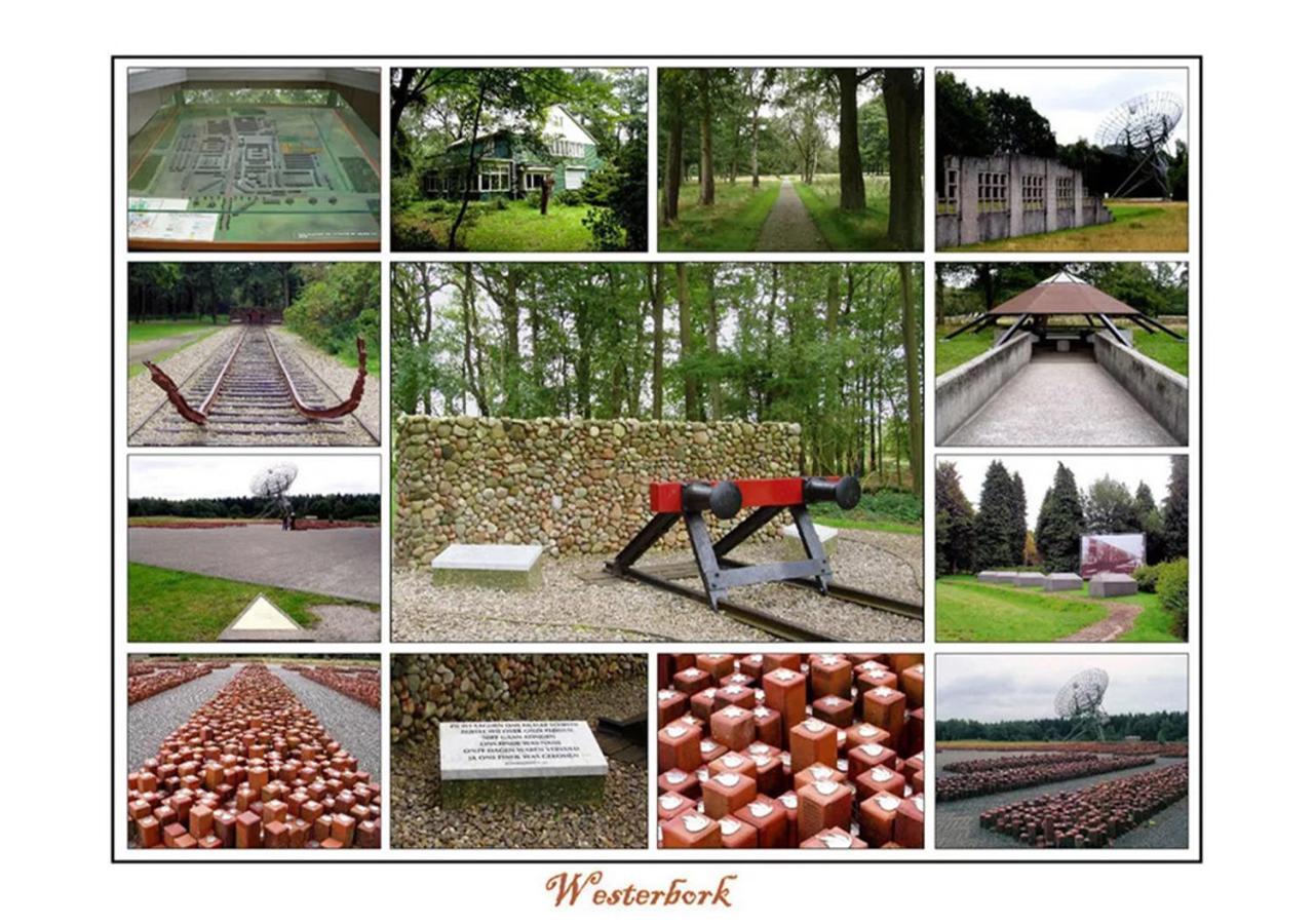 Mini Camping Drentse Monden Nieuw-Weerdinge Екстериор снимка