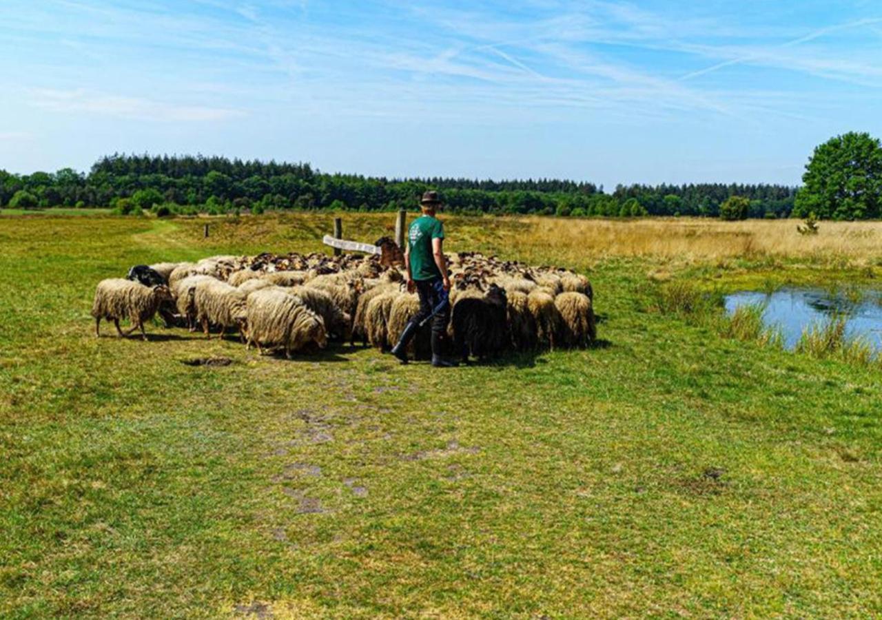 Mini Camping Drentse Monden Nieuw-Weerdinge Екстериор снимка